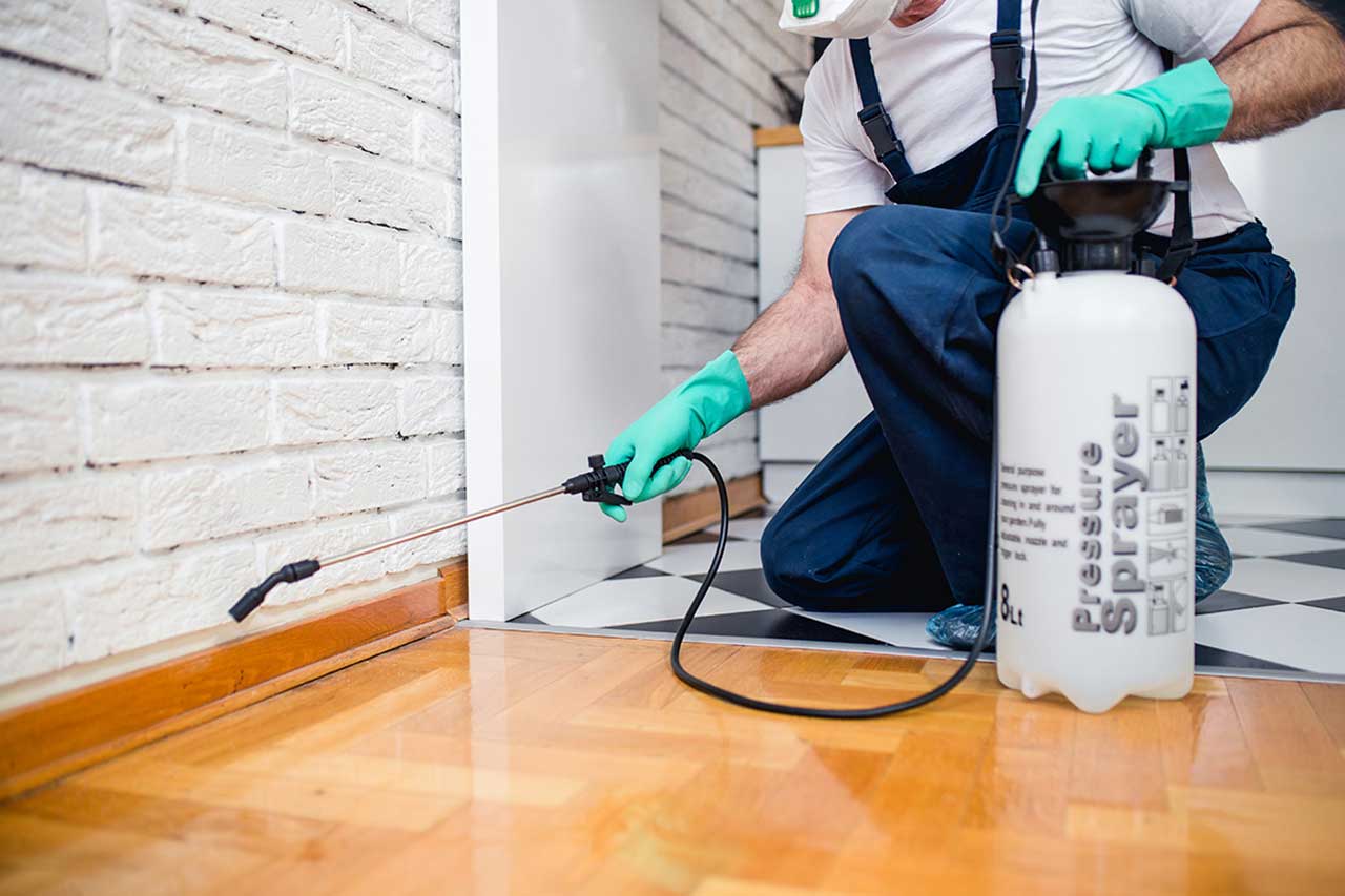 service-renovation